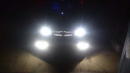 Нюшка во тьме