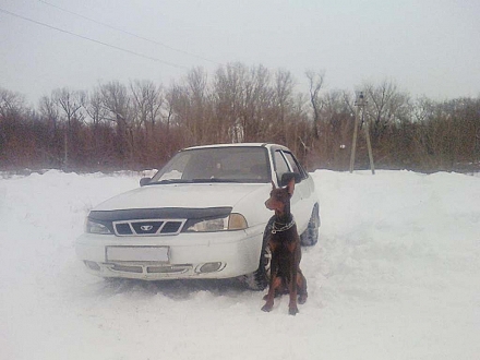 КСЮ и ALEX