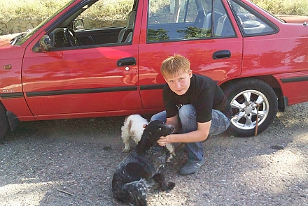 Диски